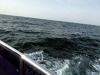 'Rough' seas at Palm Jumeirah