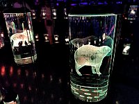 Laser etched bear and elephant