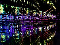Species room at Museum of the Future