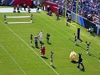 Mascot race