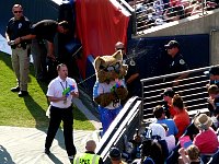 Titans Mascot