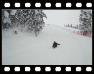 Sled run