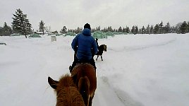 Glass igloo from horseback