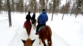 Horses on snow trail
