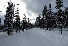 Cross country ski trail