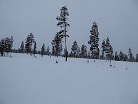 Kakslauttanen scenery