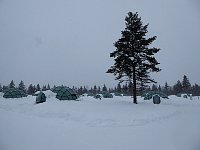 Glass Igloos