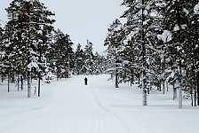 View of cross country ski trail