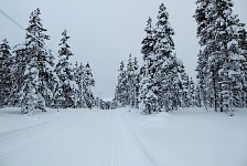 View of cross country ski trail