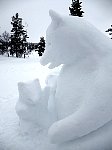 Snow bears