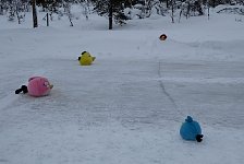Angry Bird Curling