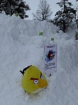 Angry Snow Bird