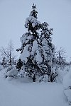 Urho Kekkonen National Park