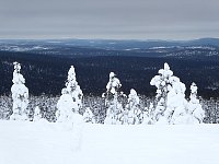 Arctic Landscape