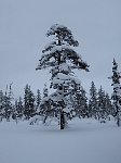 Urho Kekkonen National Park