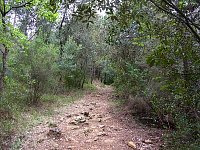 Sophia Antipolis trail