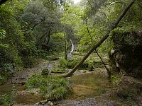 Sophia Antipolis brook