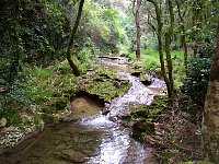 Sophia Antipolis brook 