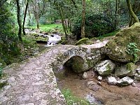 Sophia Antipolis bridge