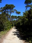 Porquerolles bike path to main beach