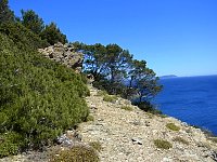 Porquerolles south coast cliff