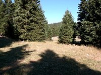 Mountain plateau near Vytina