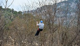 Heading into the hedges