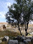 Hexamilion wall