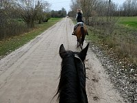 Riding in Hungary