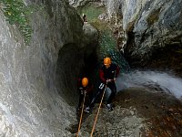 Parallel Abseil