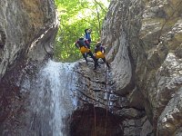 Parallel Abseil