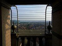 Viewing gallery at platform level