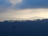 Trees near Lake Albano at sunrise