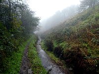 Muddy path near muddy waters