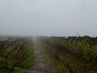 English countryside in fog