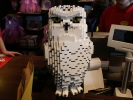 White owl