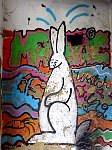Rabbit graffiti