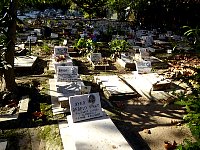 Lisbon Zoo pet cemetery