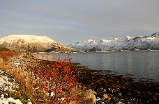 Lofoten landscape