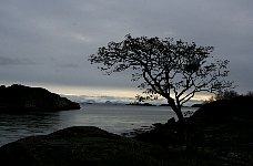 Scenery near Ørsvåg