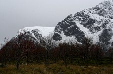 Scenery near Ørsvåg