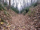 Path on Monts d'Or