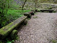 Rotten benches