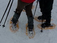 Snow shoeing