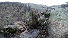 Up the wide crack in the rocks