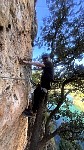 Around a tree