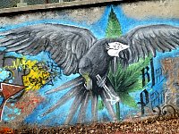 Consonno Graffiti