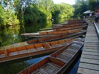 Punting in Oxford