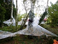 Giant spider net