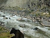 Scenery from Machu Picchu train